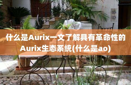 什么是Aurix一文了解具有革命性的Aurix生态系统(什么是ao)