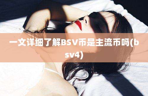 一文详细了解BSV币是主流币吗(bsv4)