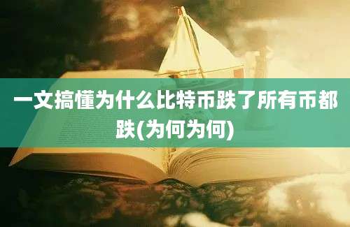 一文搞懂为什么比特币跌了所有币都跌(为何为何)