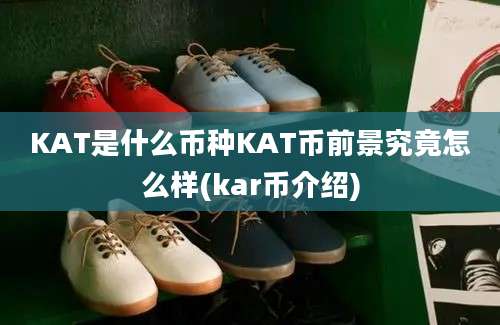 KAT是什么币种KAT币前景究竟怎么样(kar币介绍)