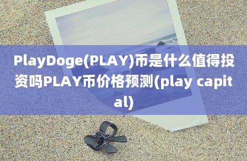 PlayDoge(PLAY)币是什么值得投资吗PLAY币价格预测(play capital)