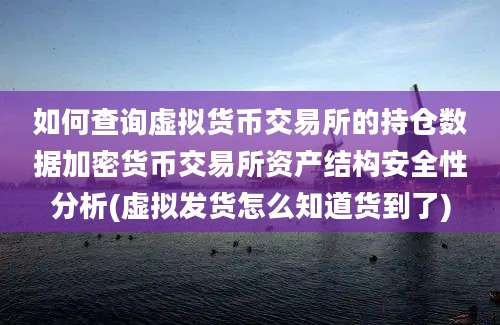 如何查询虚拟货币交易所的持仓数据加密货币交易所资产结构安全性分析(虚拟发货怎么知道货到了)
