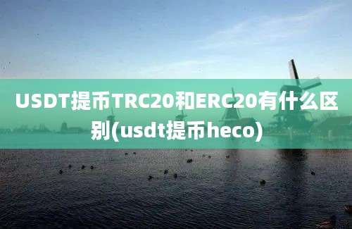 USDT提币TRC20和ERC20有什么区别(usdt提币heco)