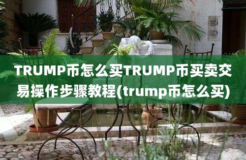 TRUMP币怎么买TRUMP币买卖交易操作步骤教程(trump币怎么买)