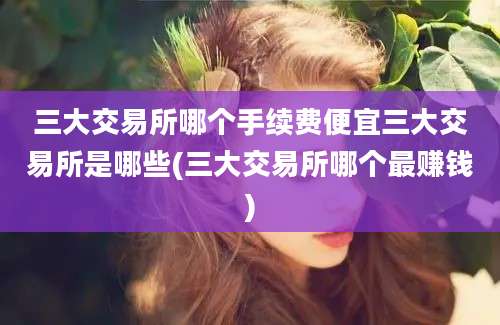 三大交易所哪个手续费便宜三大交易所是哪些(三大交易所哪个最赚钱)