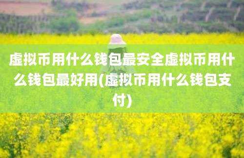 虚拟币用什么钱包最安全虚拟币用什么钱包最好用(虚拟币用什么钱包支付)