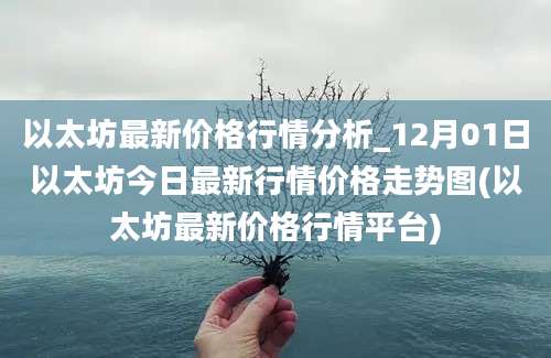 以太坊最新价格行情分析_12月01日以太坊今日最新行情价格走势图(以太坊最新价格行情平台)