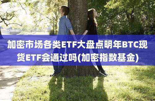 加密市场各类ETF大盘点明年BTC现货ETF会通过吗(加密指数基金)