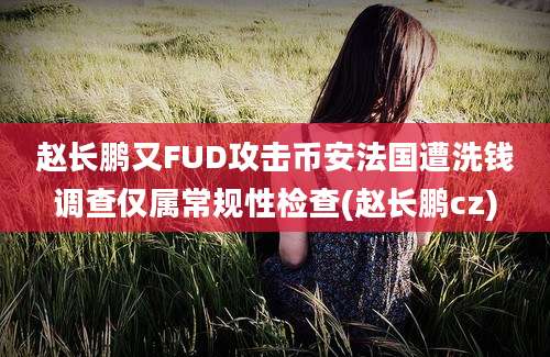 赵长鹏又FUD攻击币安法国遭洗钱调查仅属常规性检查(赵长鹏cz)