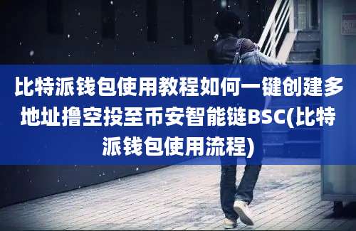 比特派钱包使用教程如何一键创建多地址撸空投至币安智能链BSC(比特派钱包使用流程)