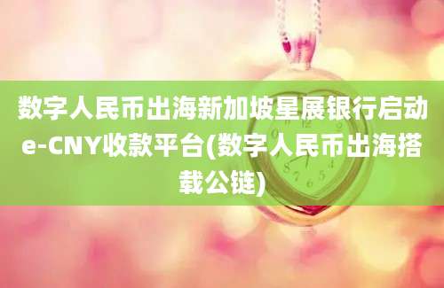数字人民币出海新加坡星展银行启动e-CNY收款平台(数字人民币出海搭载公链)