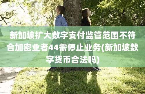 新加坡扩大数字支付监管范围不符合加密业者44需停止业务(新加坡数字货币合法吗)