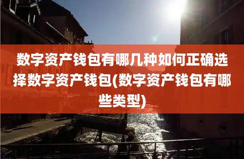 数字资产钱包有哪几种如何正确选择数字资产钱包(数字资产钱包有哪些类型)
