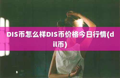 DIS币怎么样DIS币价格今日行情(dil币)