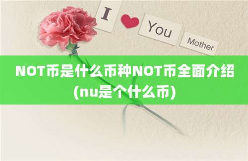 NOT币是什么币种NOT币全面介绍(nu是个什么币)