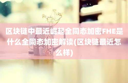 区块链中最近崛起全同态加密FHE是什么全同态加密解读(区块链最近怎么样)
