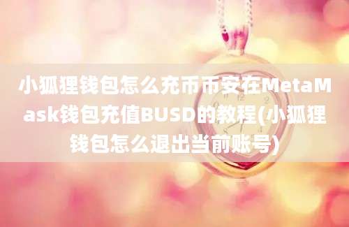 小狐狸钱包怎么充币币安在MetaMask钱包充值BUSD的教程(小狐狸钱包怎么退出当前账号)