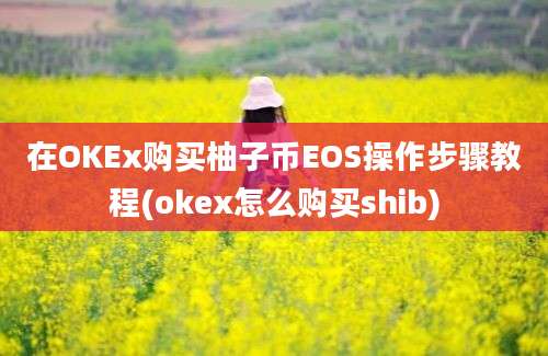 在OKEx购买柚子币EOS操作步骤教程(okex怎么购买shib)