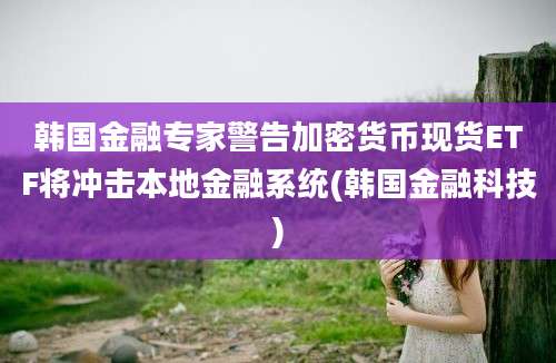 韩国金融专家警告加密货币现货ETF将冲击本地金融系统(韩国金融科技)