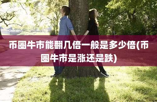 币圈牛市能翻几倍一般是多少倍(币圈牛市是涨还是跌)