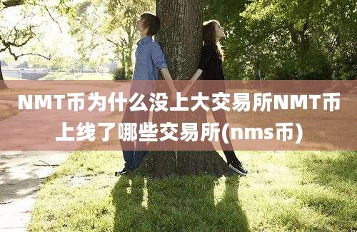 NMT币为什么没上大交易所NMT币上线了哪些交易所(nms币)