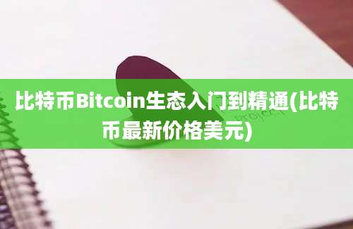 比特币Bitcoin生态入门到精通(比特币最新价格美元)