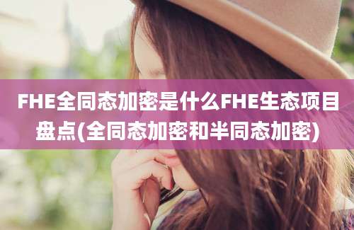 FHE全同态加密是什么FHE生态项目盘点(全同态加密和半同态加密)