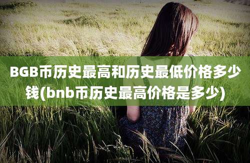 BGB币历史最高和历史最低价格多少钱(bnb币历史最高价格是多少)