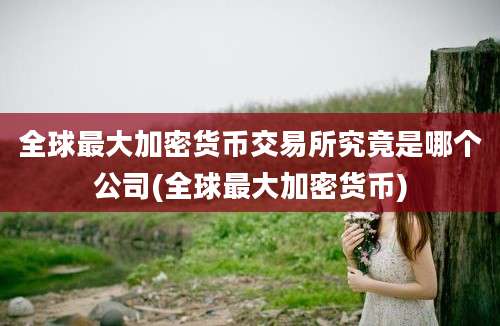 全球最大加密货币交易所究竟是哪个公司(全球最大加密货币)