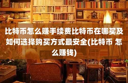 比特币怎么赚手续费比特币在哪买及如何选择购买方式最安全(比特币 怎么赚钱)