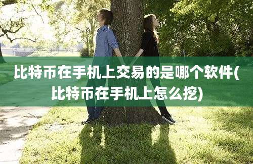 比特币在手机上交易的是哪个软件(比特币在手机上怎么挖)