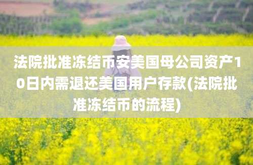 法院批准冻结币安美国母公司资产10日内需退还美国用户存款(法院批准冻结币的流程)