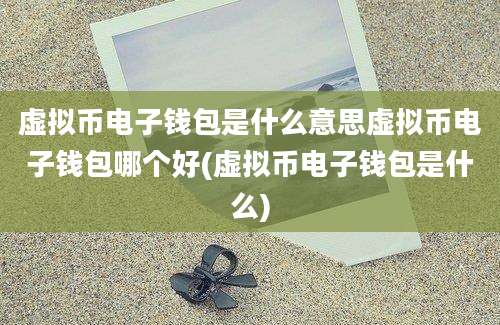 虚拟币电子钱包是什么意思虚拟币电子钱包哪个好(虚拟币电子钱包是什么)