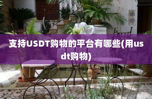 支持USDT购物的平台有哪些(用usdt购物)