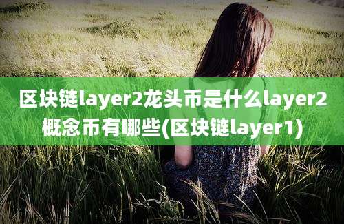 区块链layer2龙头币是什么layer2概念币有哪些(区块链layer1)