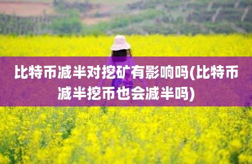 比特币减半对挖矿有影响吗(比特币减半挖币也会减半吗)
