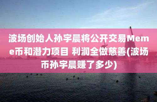 波场创始人孙宇晨将公开交易Meme币和潜力项目 利润全做慈善(波场币孙宇晨赚了多少)