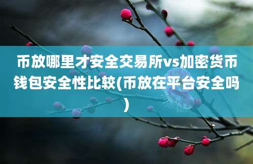 币放哪里才安全交易所vs加密货币钱包安全性比较(币放在平台安全吗)
