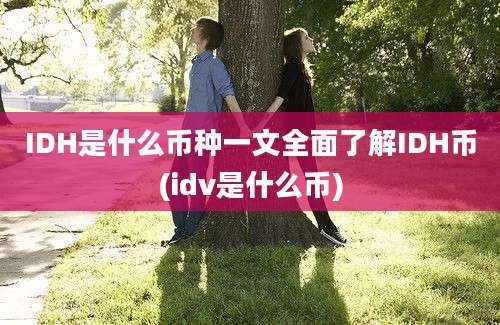 IDH是什么币种一文全面了解IDH币(idv是什么币)