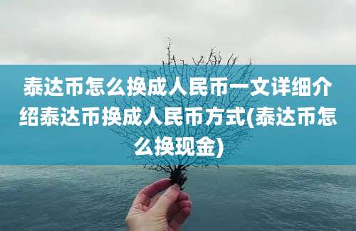 泰达币怎么换成人民币一文详细介绍泰达币换成人民币方式(泰达币怎么换现金)