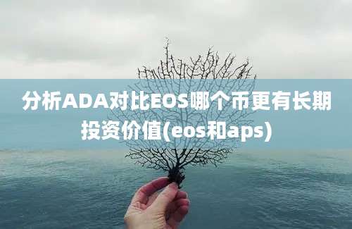 分析ADA对比EOS哪个币更有长期投资价值(eos和aps)