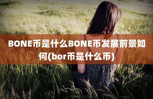 BONE币是什么BONE币发展前景如何(bor币是什么币)