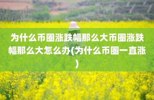 为什么币圈涨跌幅那么大币圈涨跌幅那么大怎么办(为什么币圈一直涨)
