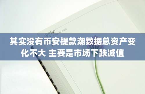其实没有币安提款潮数据总资产变化不大 主要是市场下跌减值
