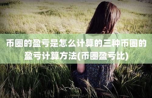 币圈的盈亏是怎么计算的三种币圈的盈亏计算方法(币圈盈亏比)
