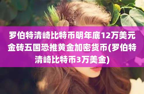 罗伯特清崎比特币明年底12万美元金砖五国恐推黄金加密货币(罗伯特清崎比特币3万美金)