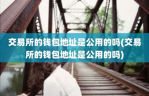交易所的钱包地址是公用的吗(交易所的钱包地址是公用的吗)