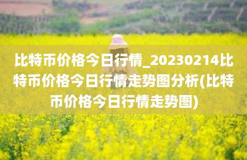比特币价格今日行情_20230214比特币价格今日行情走势图分析(比特币价格今日行情走势图)